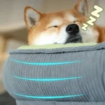 accessoire de repos pour chien et chat
