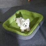 confort 4 Saisons coussin pour animaux